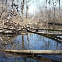 Barnum Lake