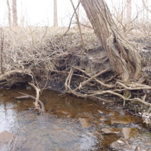 Blackmore Drain Improvements