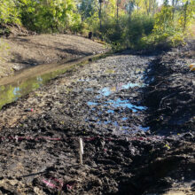 Blackmore Drain Improvements