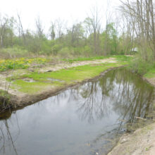 Blackmore Drain Improvements